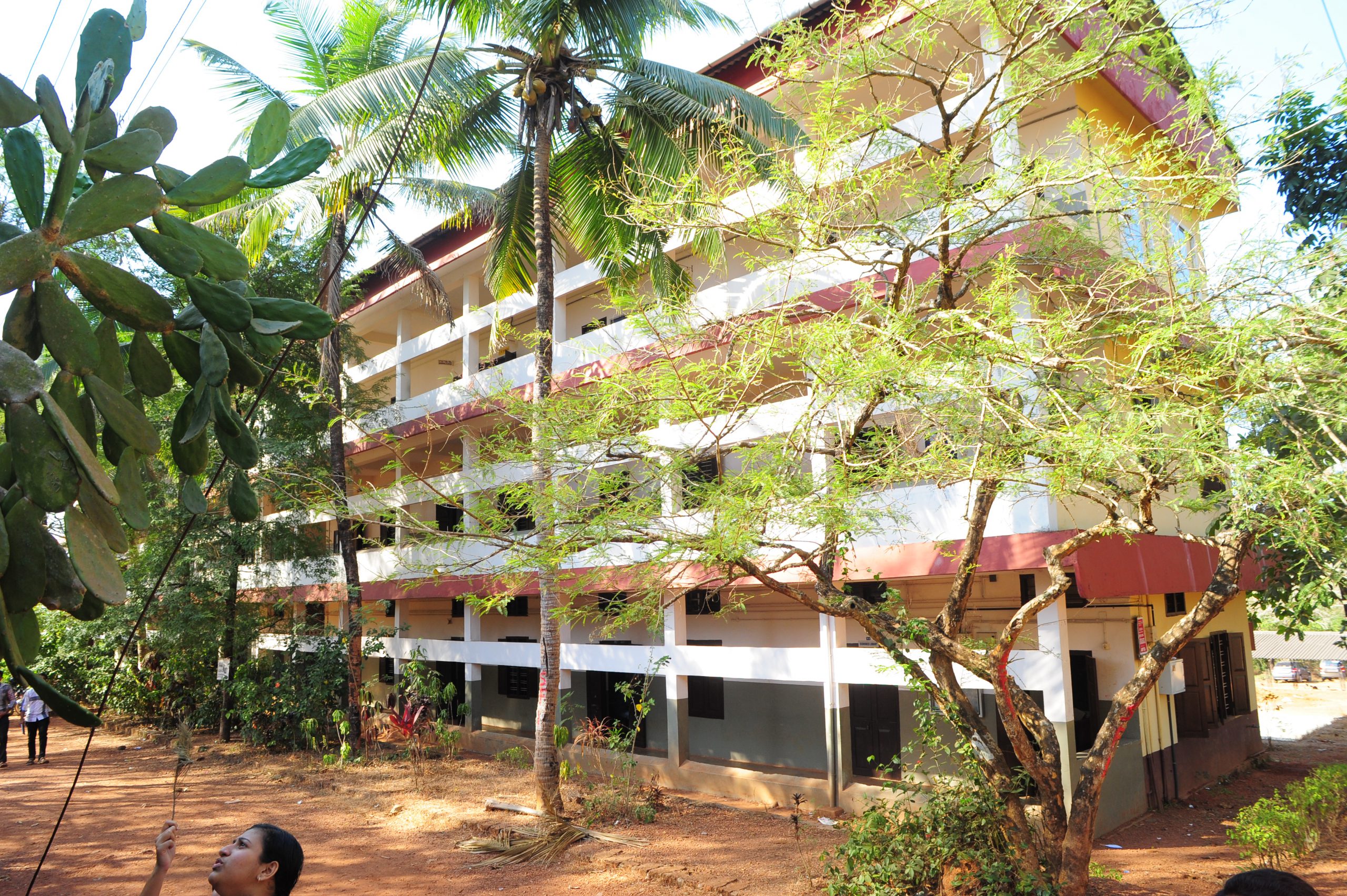 GALLERY – Payyanur College