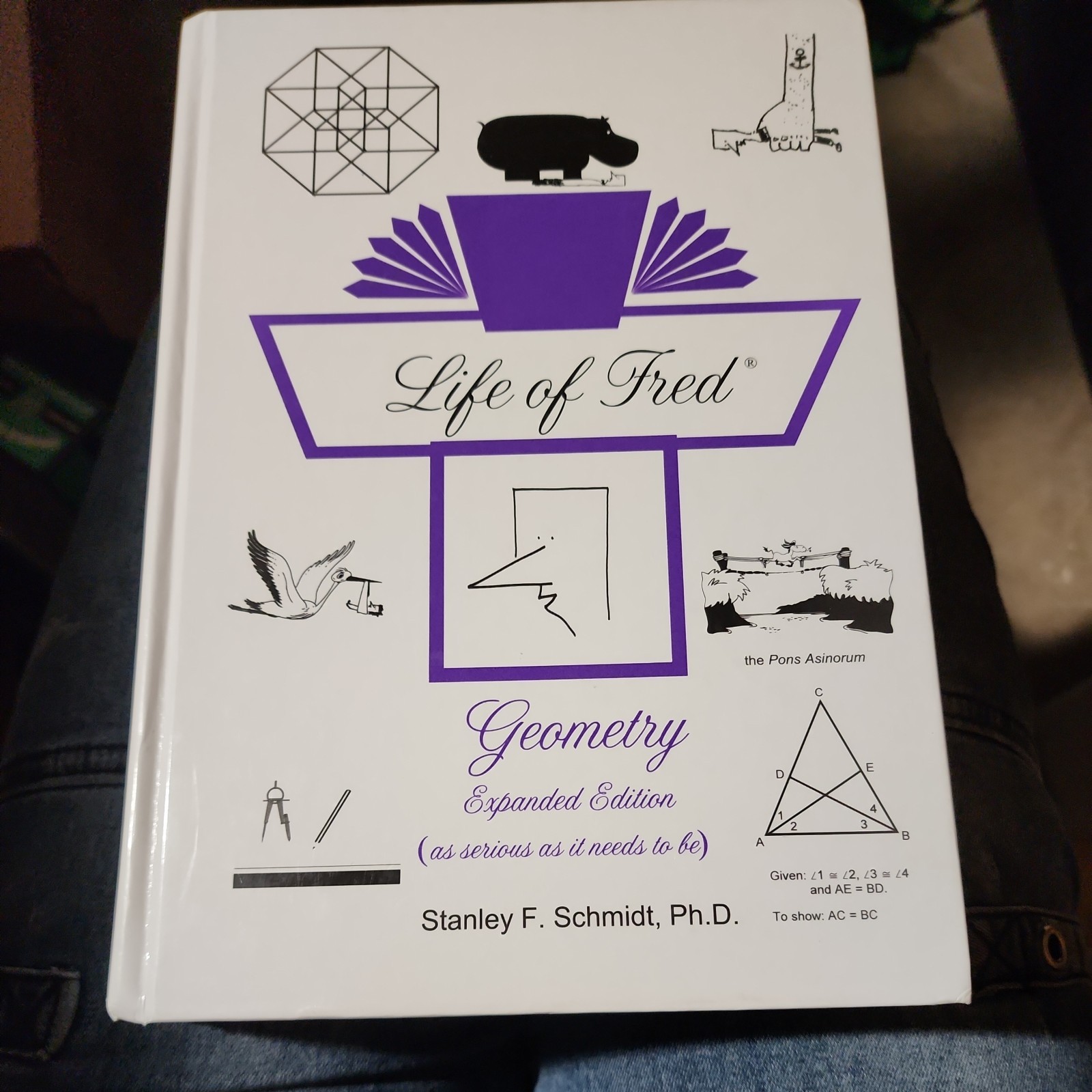 Life of Fred Geometry Expanded Edition Hardcover by Stanley F. Schmidt-very Good