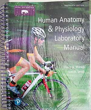 Human Anatomy & – Spiral-bound, by Marieb Elaine; Smith – Acceptable p