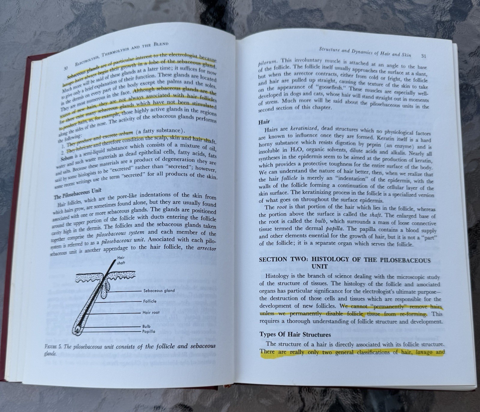 Electrolysis, Thermolysis and The Blend: Rare Textbook Vtg Hinkel and Lind