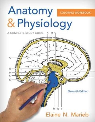 Anatomy & Physiology Coloring Workbook: A Complete Study Guide – GOOD