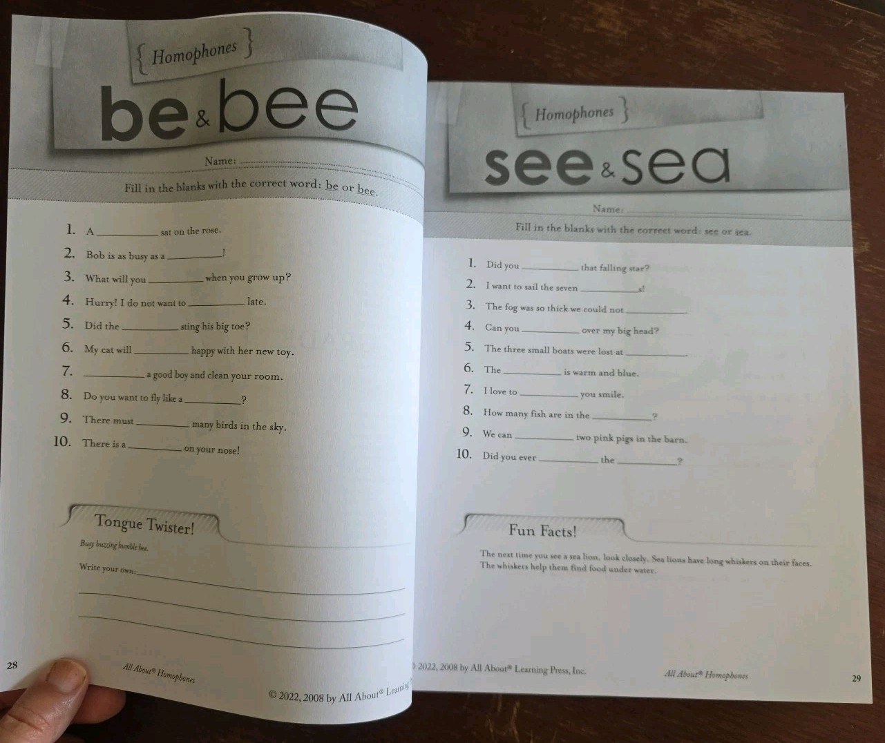 ALL ABOUT HOMOPHONES: YOUR COMPLETE TOOL KIT FOR TEACHING By Marie Rippel *NEW*