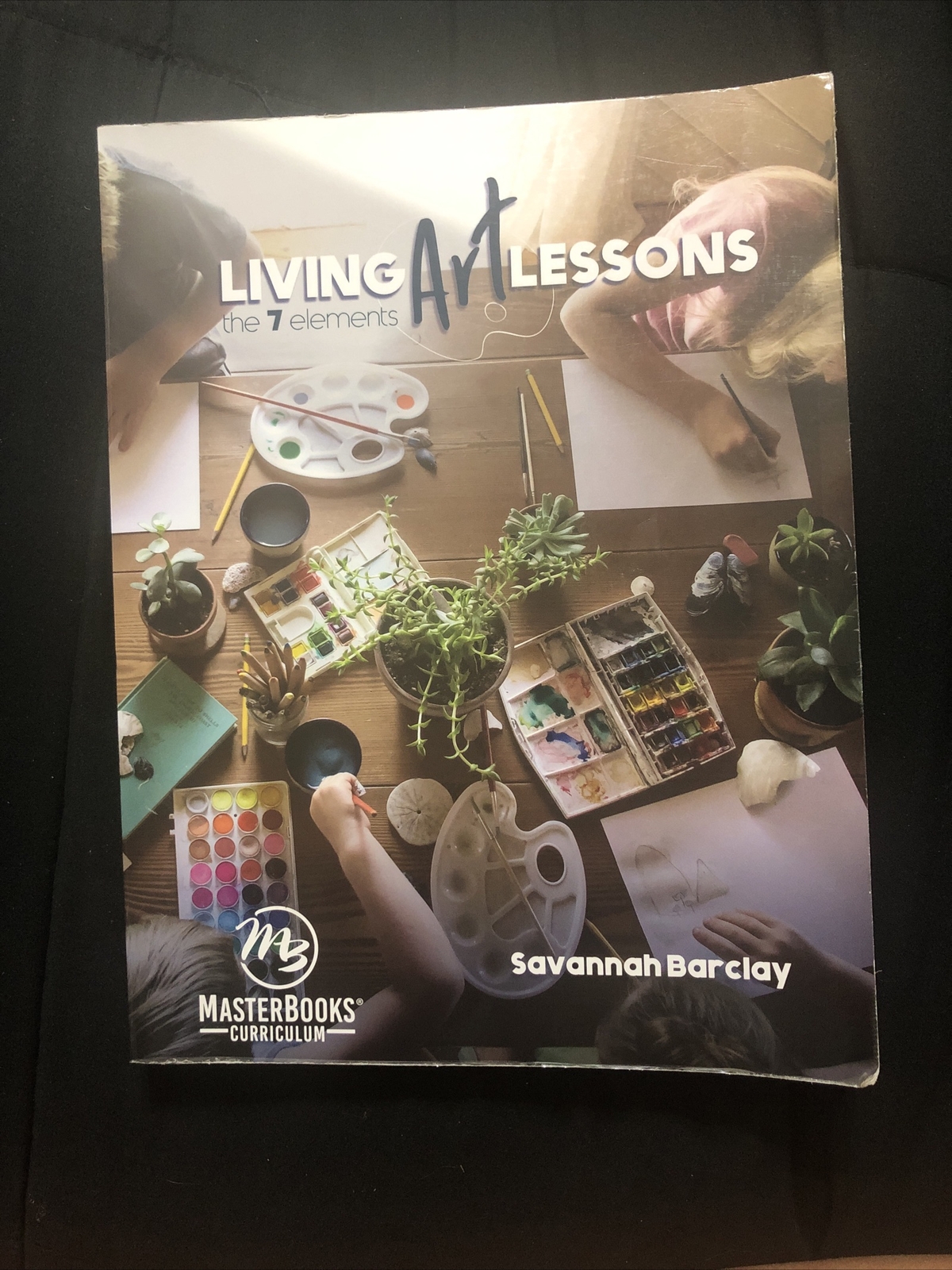 Living Art Lessons : The 7 Elements by Savannah Barclay (2019, Trade Paperback)