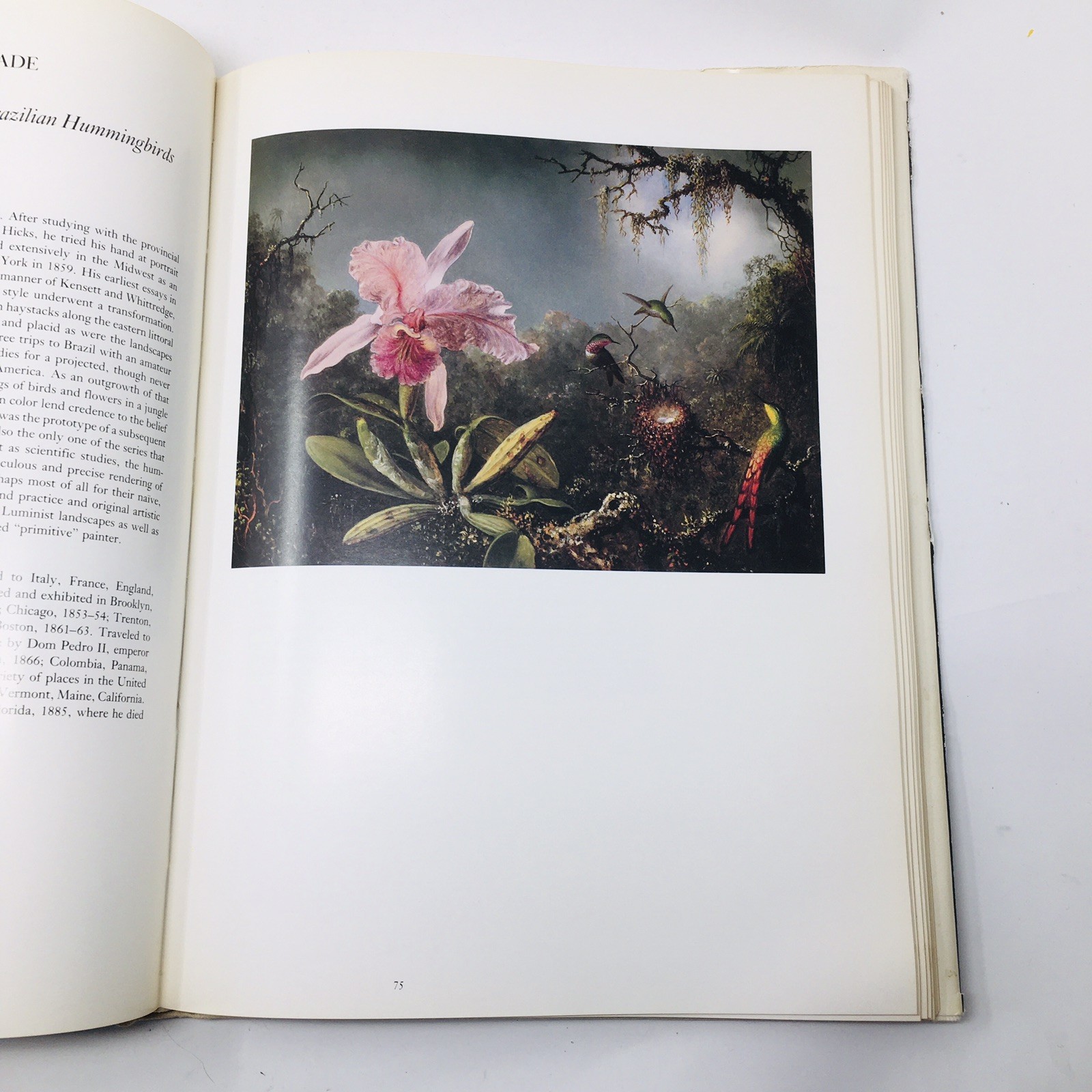 100 Masterpieces of American Painting SIGNED By Milton W Brown 1983 Art Book DC