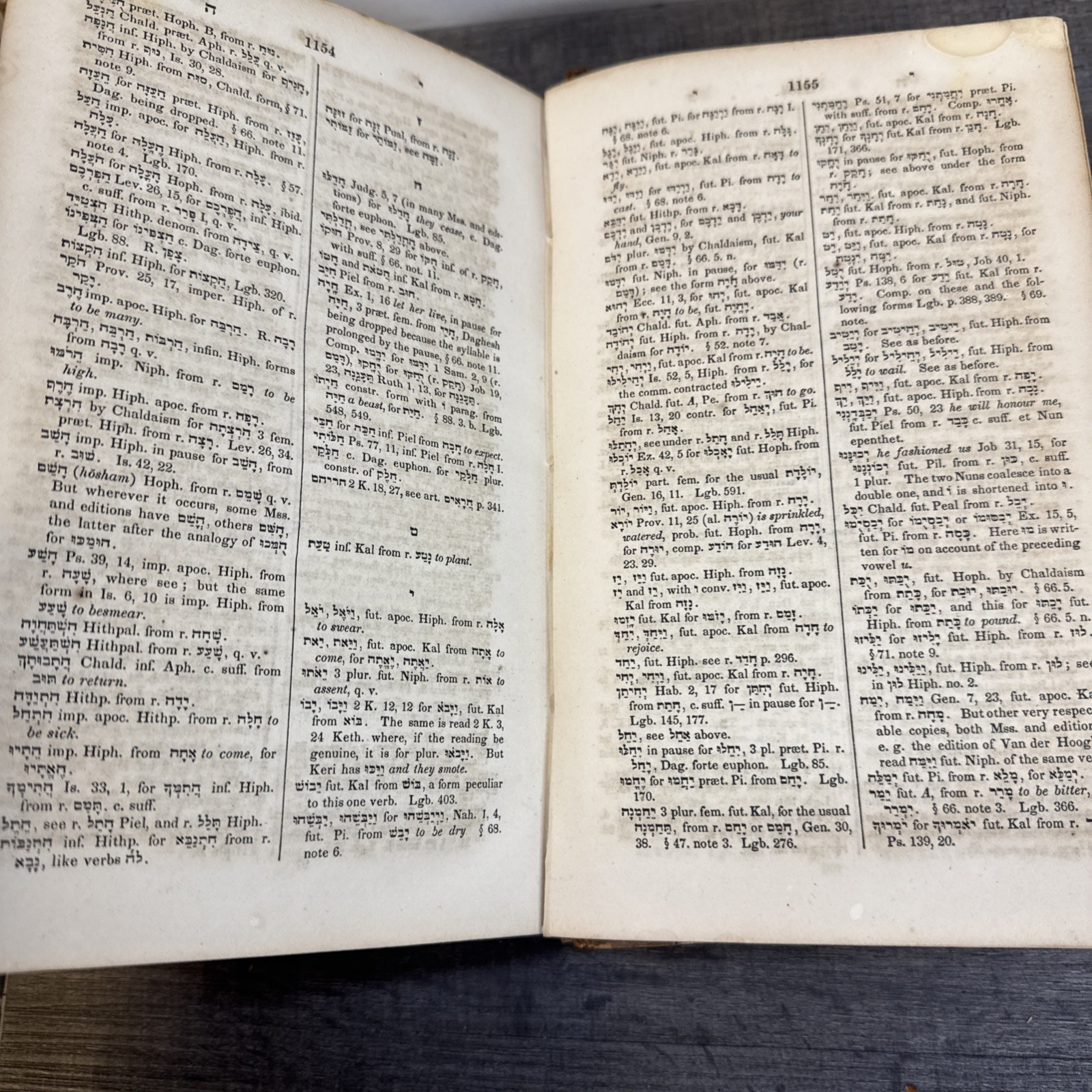 Rare Hebrew & English Lexicon of Old Testament Biblical Chaldee Edward Robinson