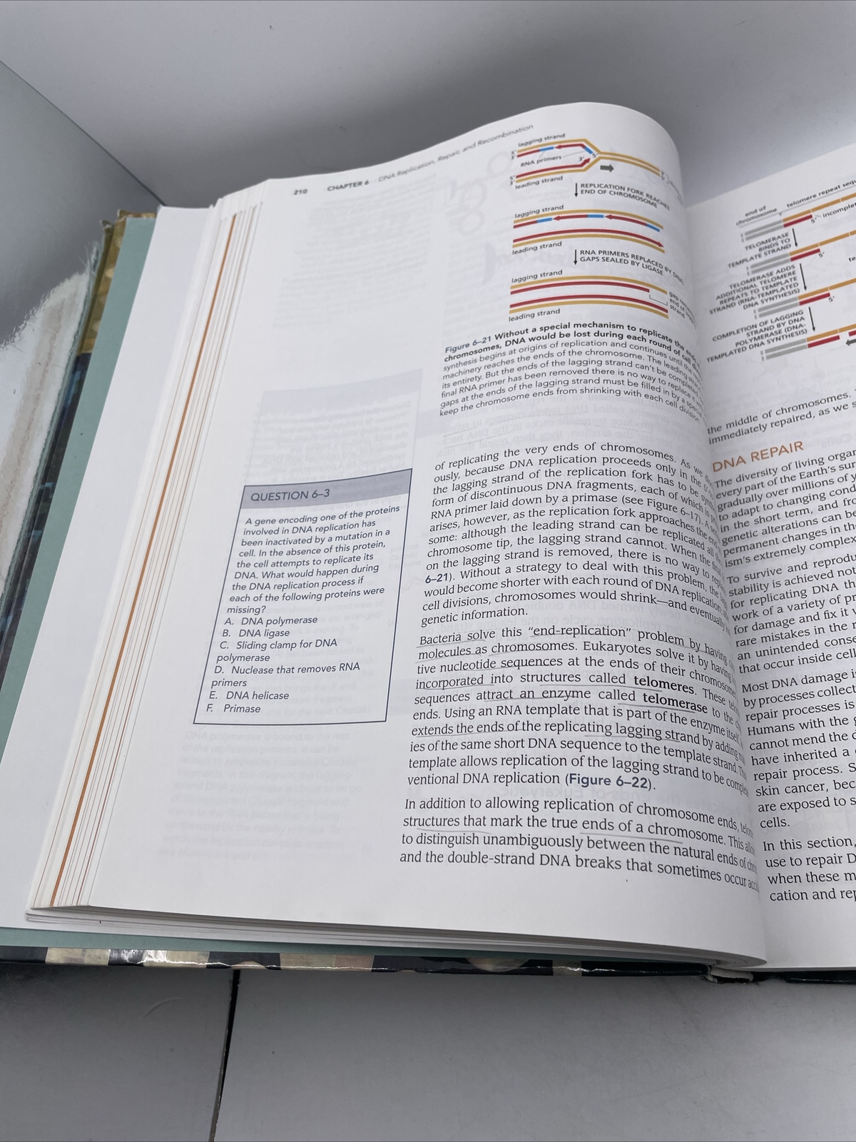 Essential Cell Biology 4th Edition Hardcover