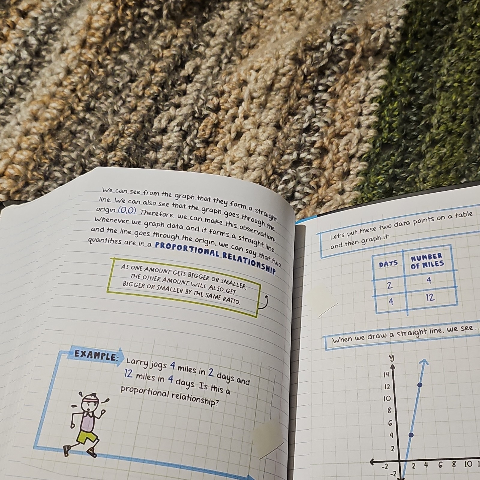 Workman Publishing Everything You Need to Ace Math Study Guide Middle School