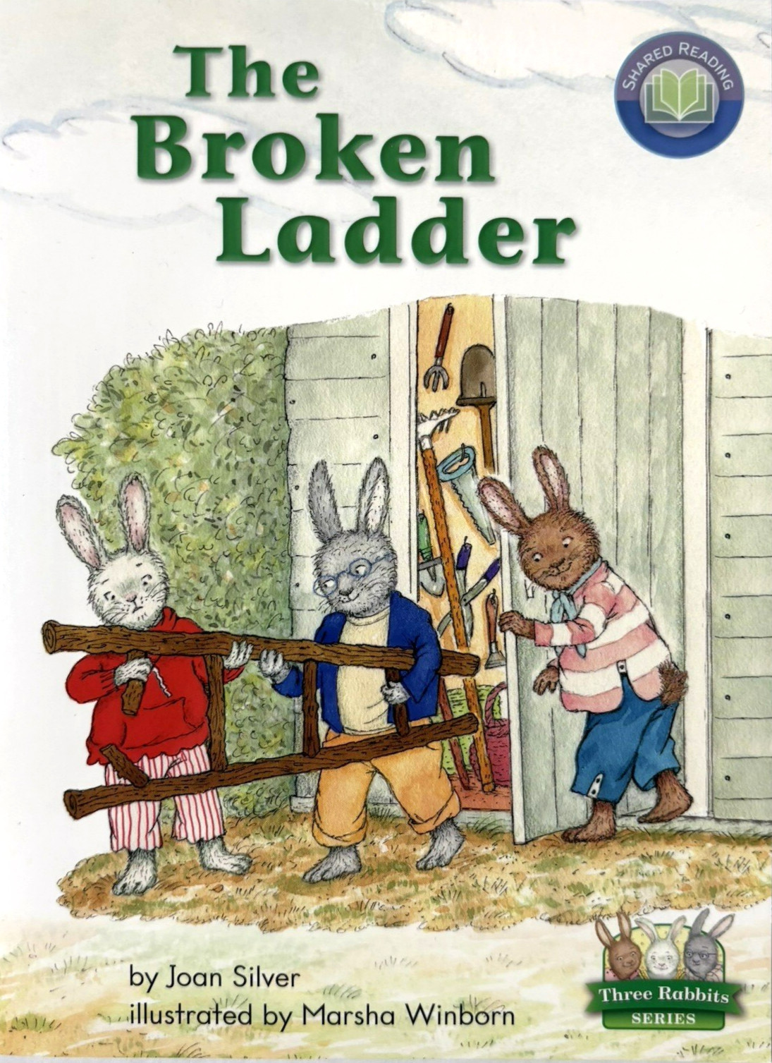 GRADE 1 READERS Homeschool Reading Books Fountas & Pinnell Curriculum 18 Books