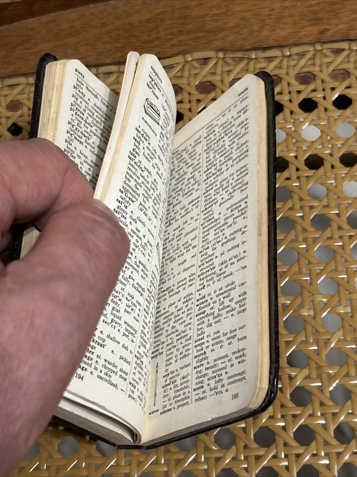 Pocket Size Vintage Webster Dictionary: Modern Revision (1965)