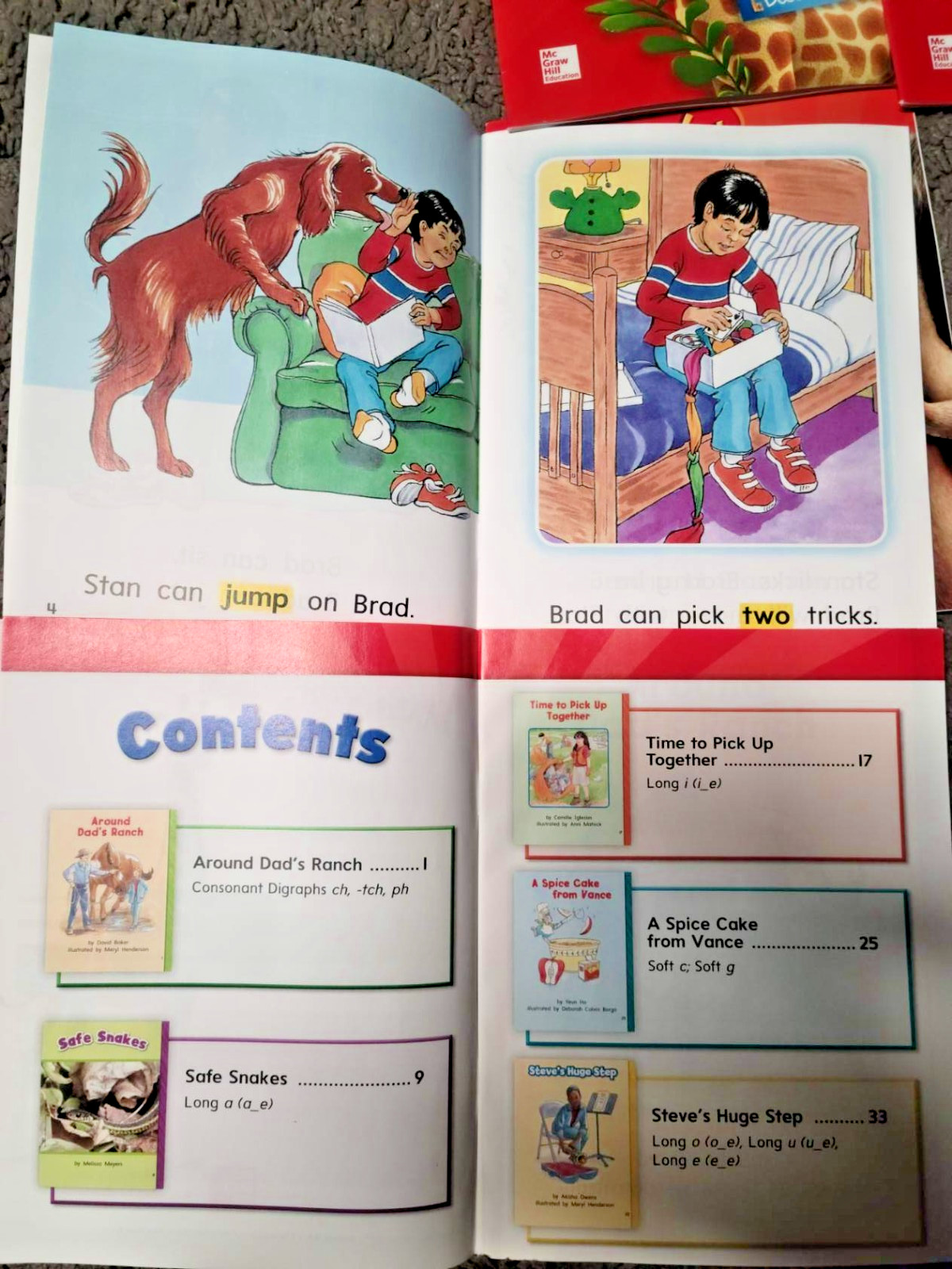 * Grade 1 McGraw Hill WonderWorks Beginner/Learn-to-Read Books *