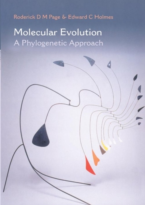 Molecular Evolution : A Phylogenetic Approach Paperback