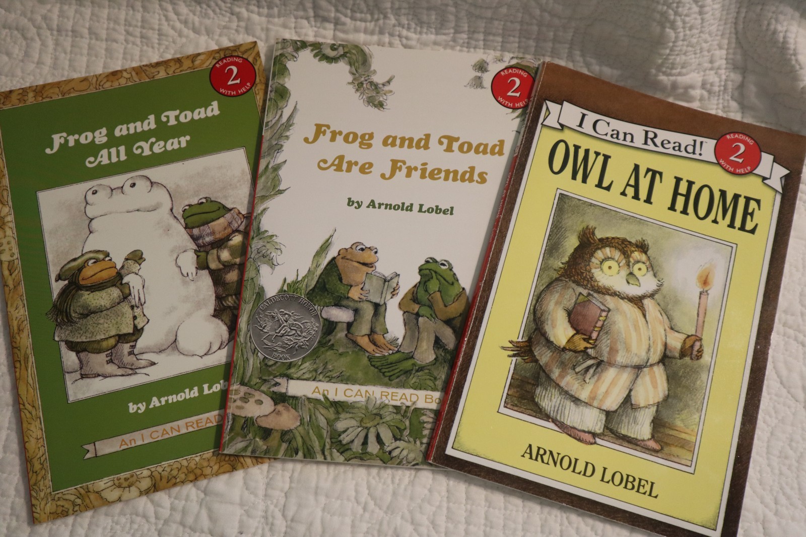 Lot of 19 Children’s Books- K-2 Classroom-Read Alouds-CMason
