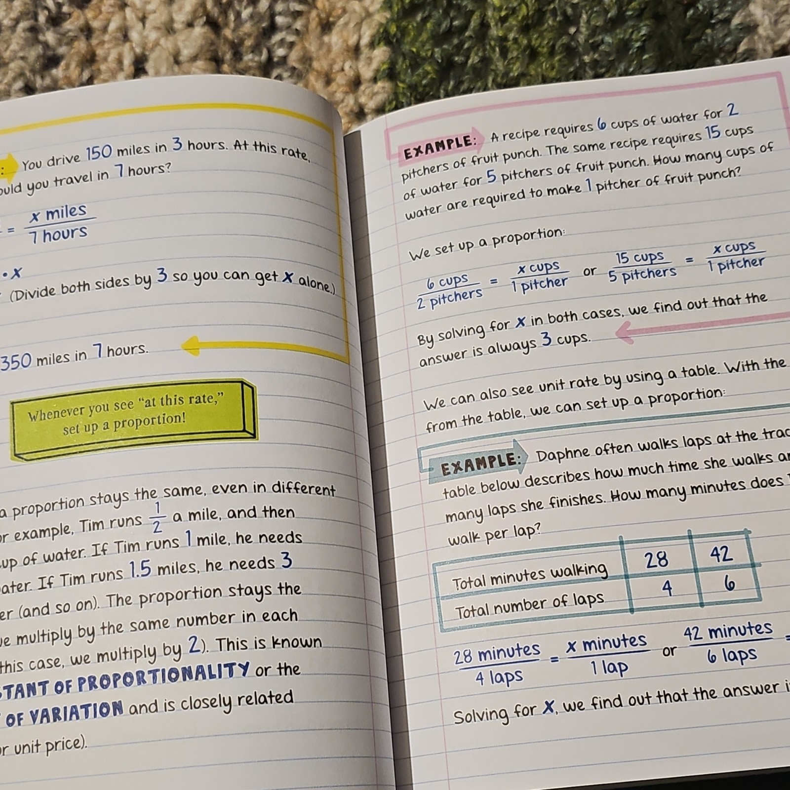 Workman Publishing Everything You Need to Ace Math Study Guide Middle School