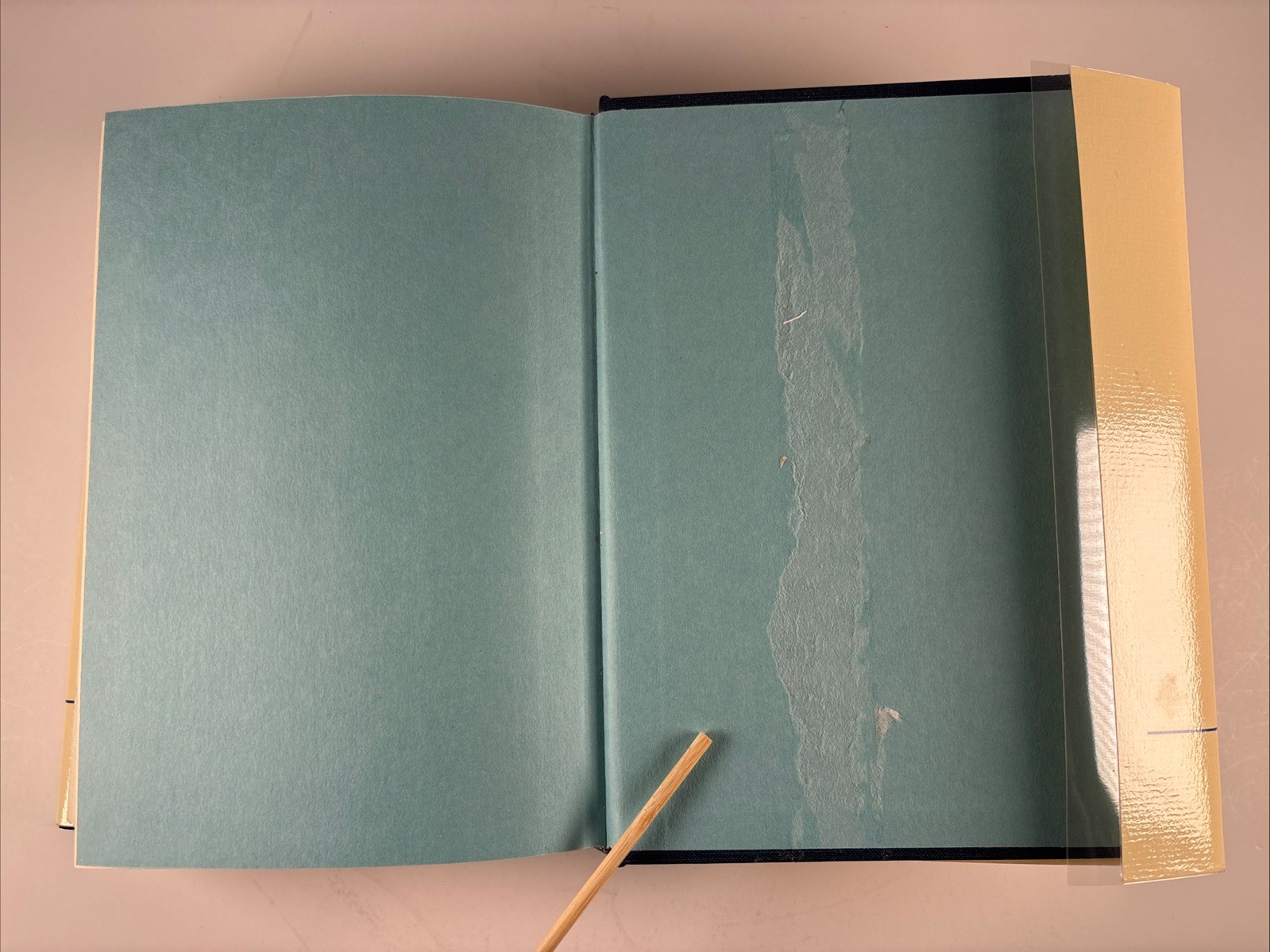 The Dawn of Conscience 1968 James Henry Breasted HC DJ Hudson River Editions