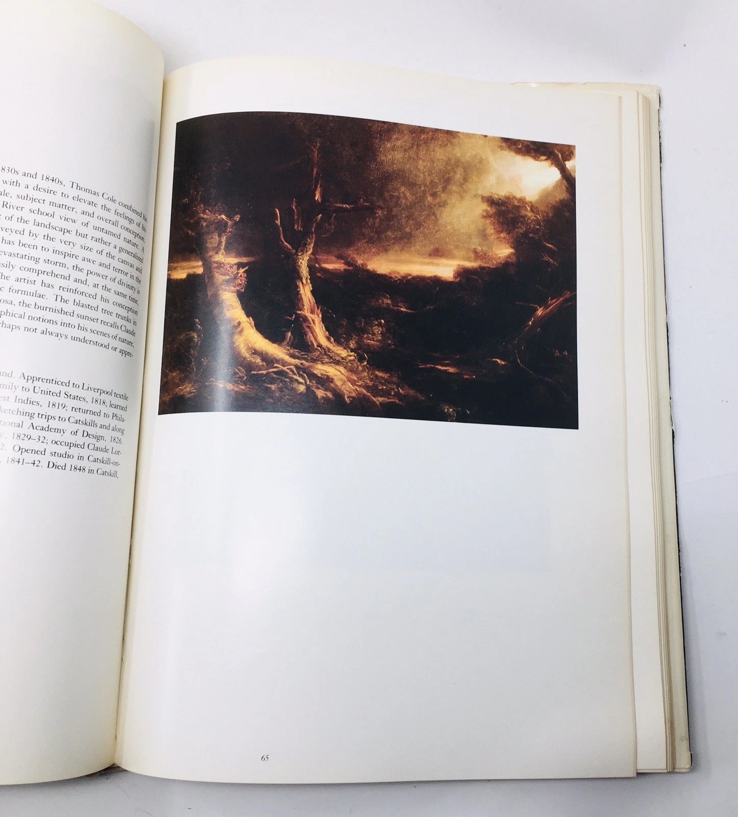 100 Masterpieces of American Painting SIGNED By Milton W Brown 1983 Art Book DC
