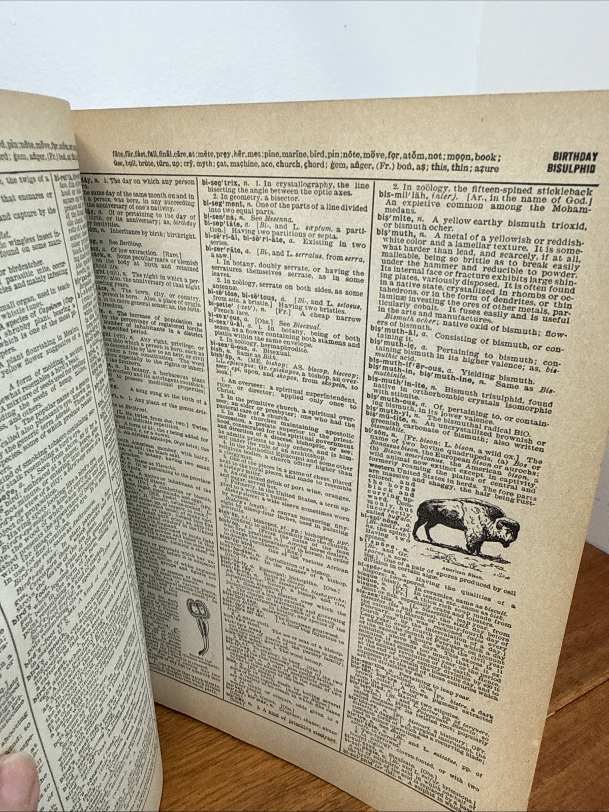 Webster’s Universities Dictionary by Noah Webster Legum Doctor 1942 Vintage