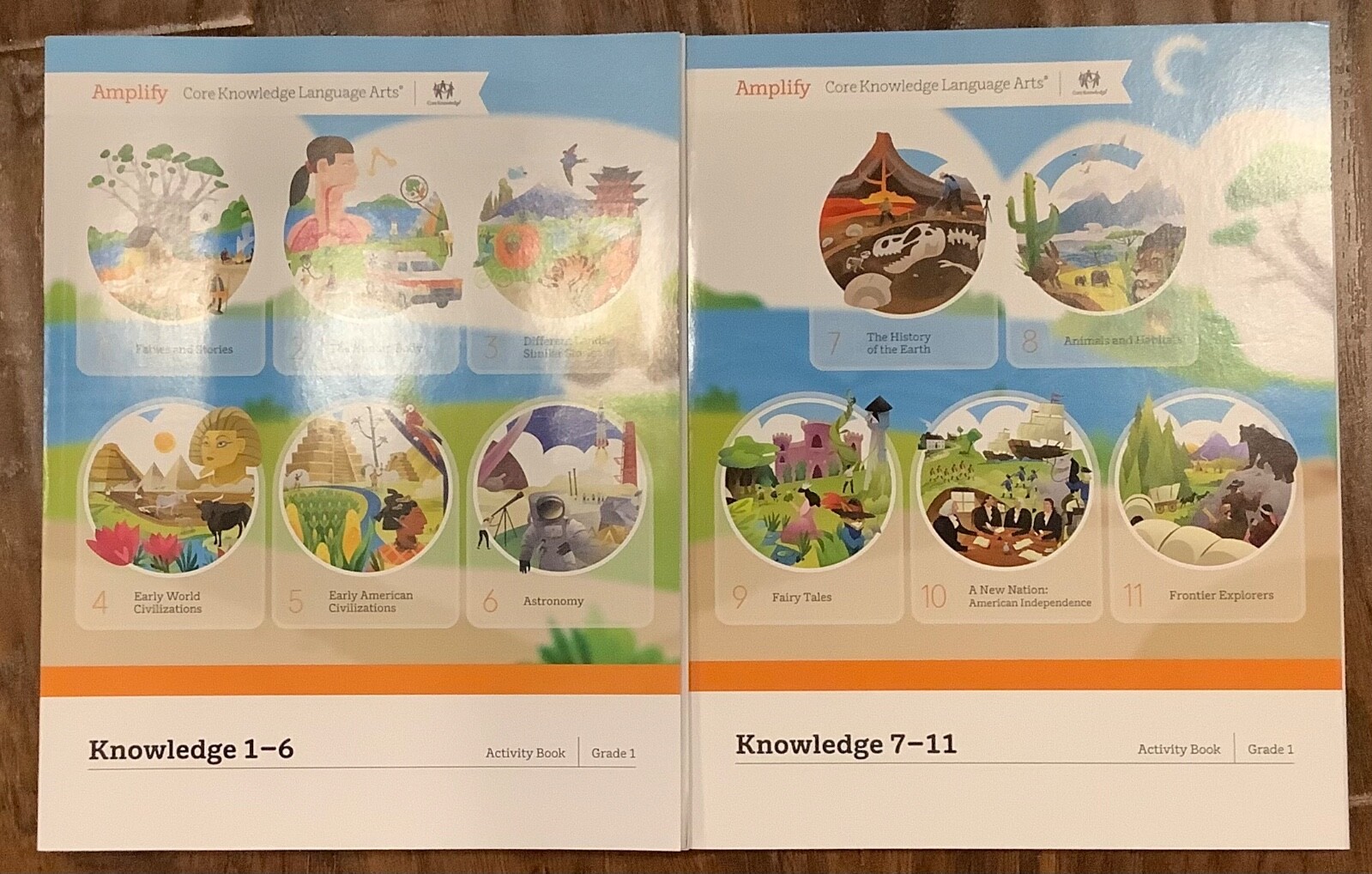 Set Amplify Knowledge Activity Book Set Domains 1-6 & 7-11 Grade 1 FREE SHIP