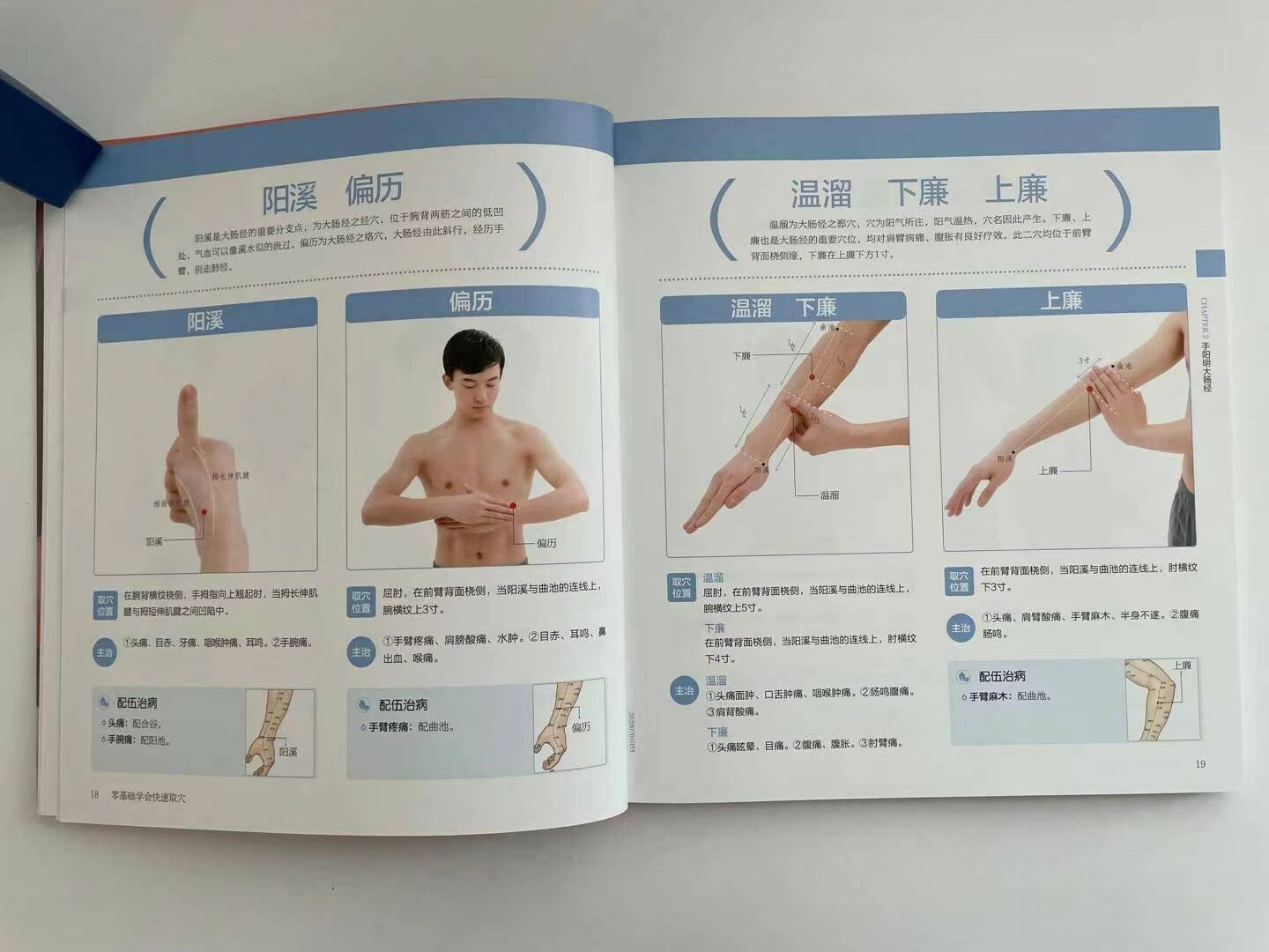 简体全中文零基础学会快速取穴 Learn to pick acupoints quickly in Chinese