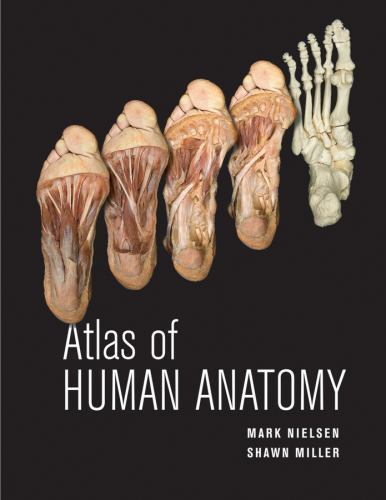 Atlas of Human Anatomy by Nielsen, Mark; Miller, Shawn D.