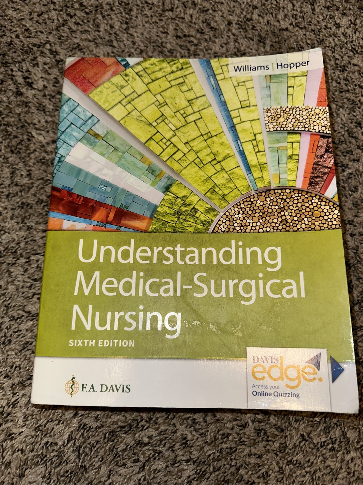 Understanding Medical-Surgical Nursing by Paula D. Hopper and Linda S. Williams
