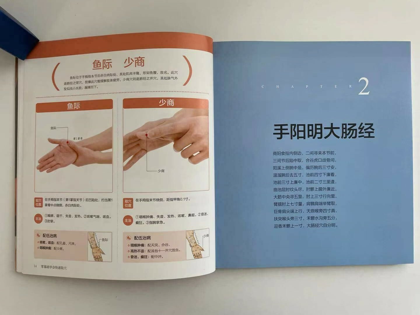 简体全中文零基础学会快速取穴 Learn to pick acupoints quickly in Chinese