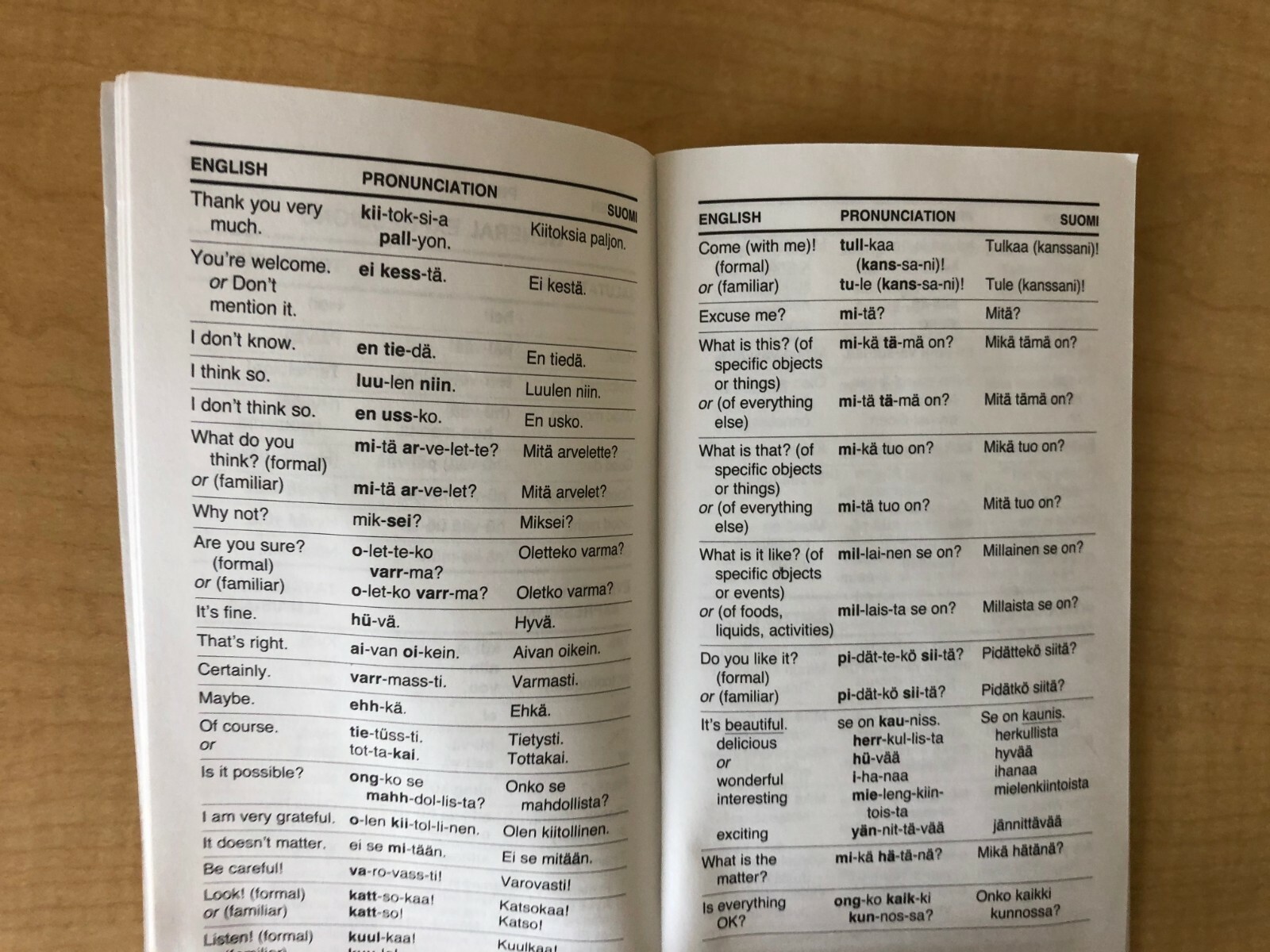 Finnish Phrase Book / Dictionary – Pocket Size – by Language/30