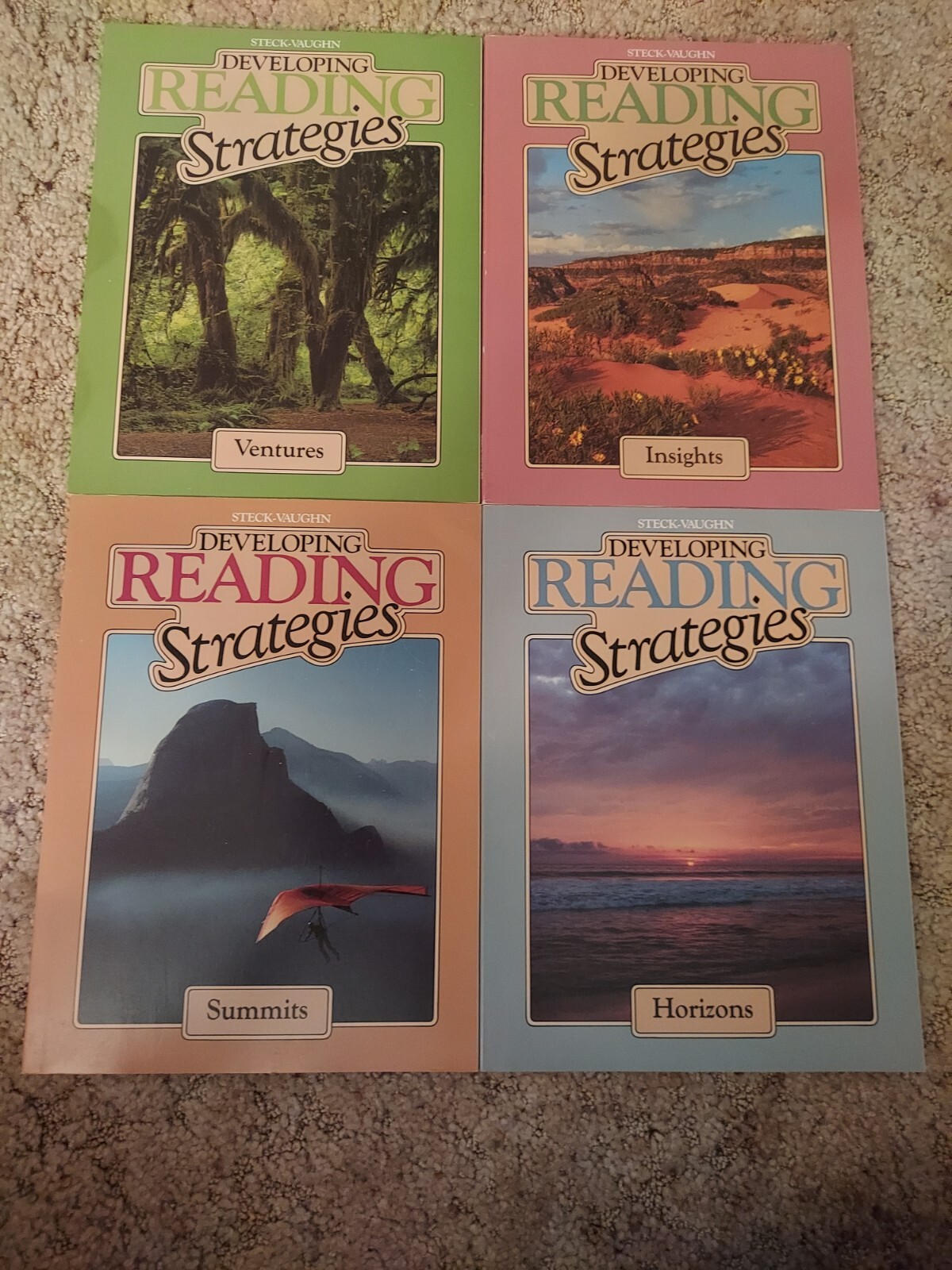 Steck Vaughn DEVELOPING READING STRATEGIES Set of 5 Workbooks Excellent
