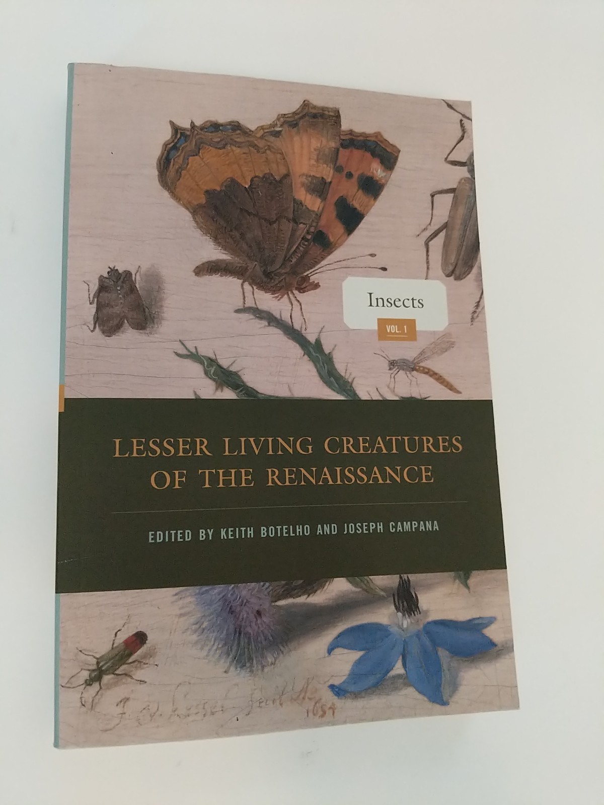 Lesser Living Creatures of the Renaissance Volume 1 Insects Keith Botelho