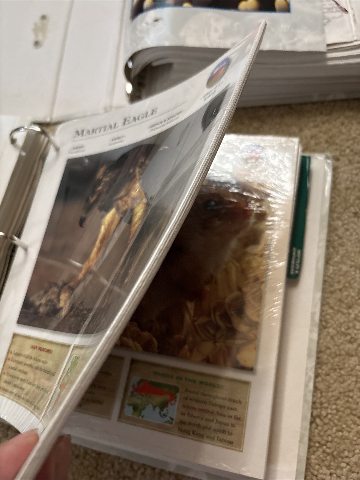 WILDLIFE EXPLORER ~ 3 Binders Full w/Animal Science Groups Various Pages