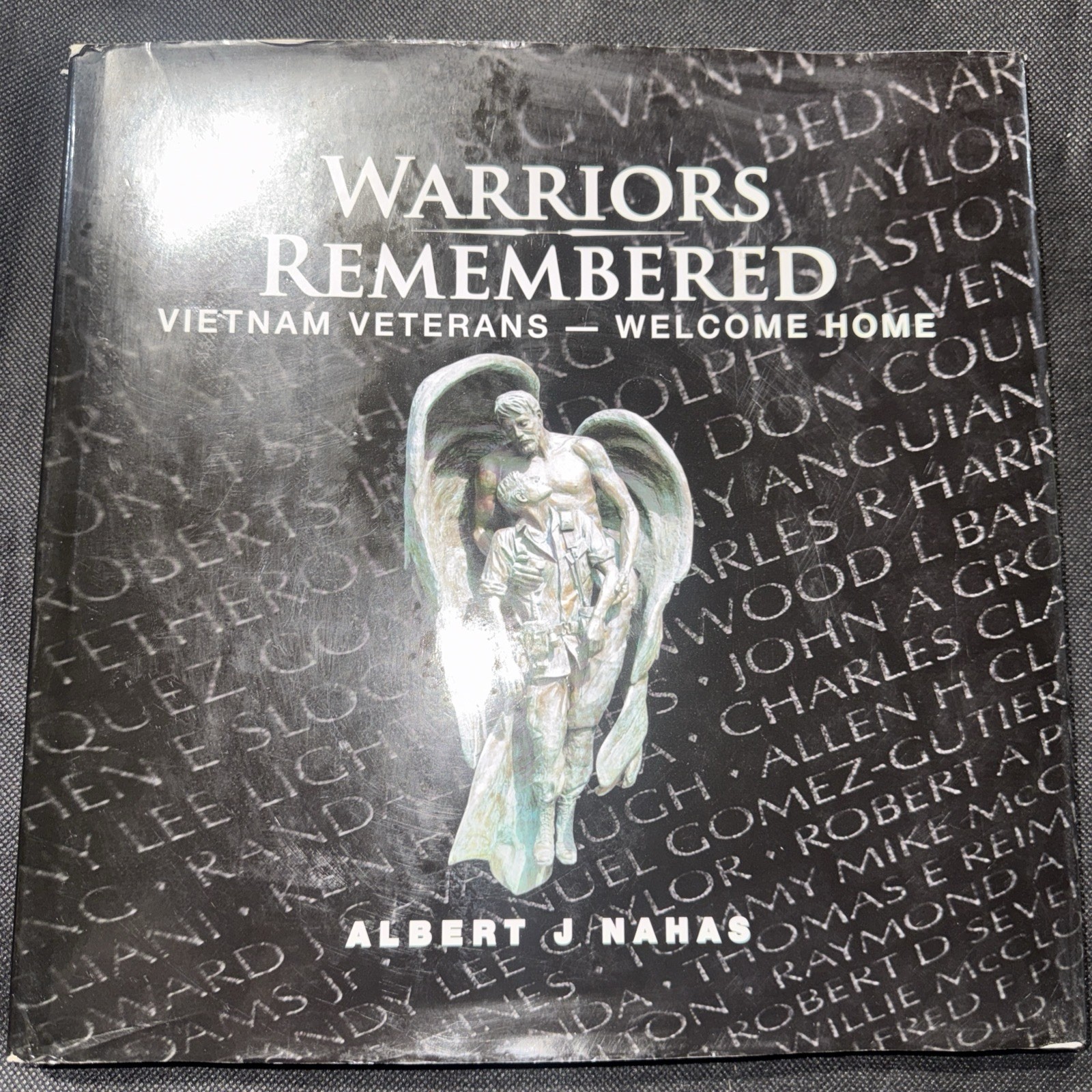 Warriors Remembered — Vietnam Veterans Welcome Home (Vietnam Veteran Memorials