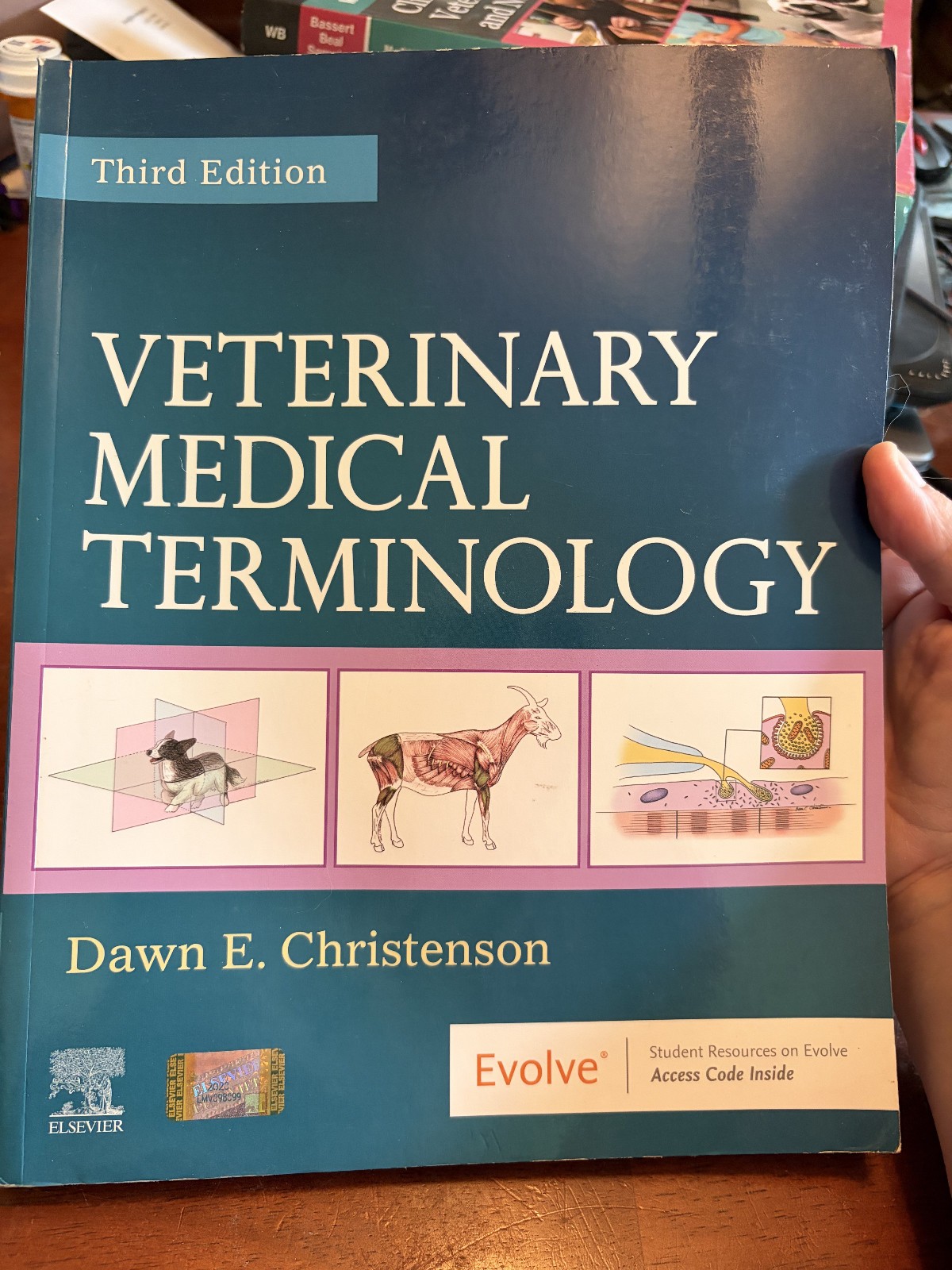 Veterinary Medical Terminology by Dawn E. Christenson 3rd edition
