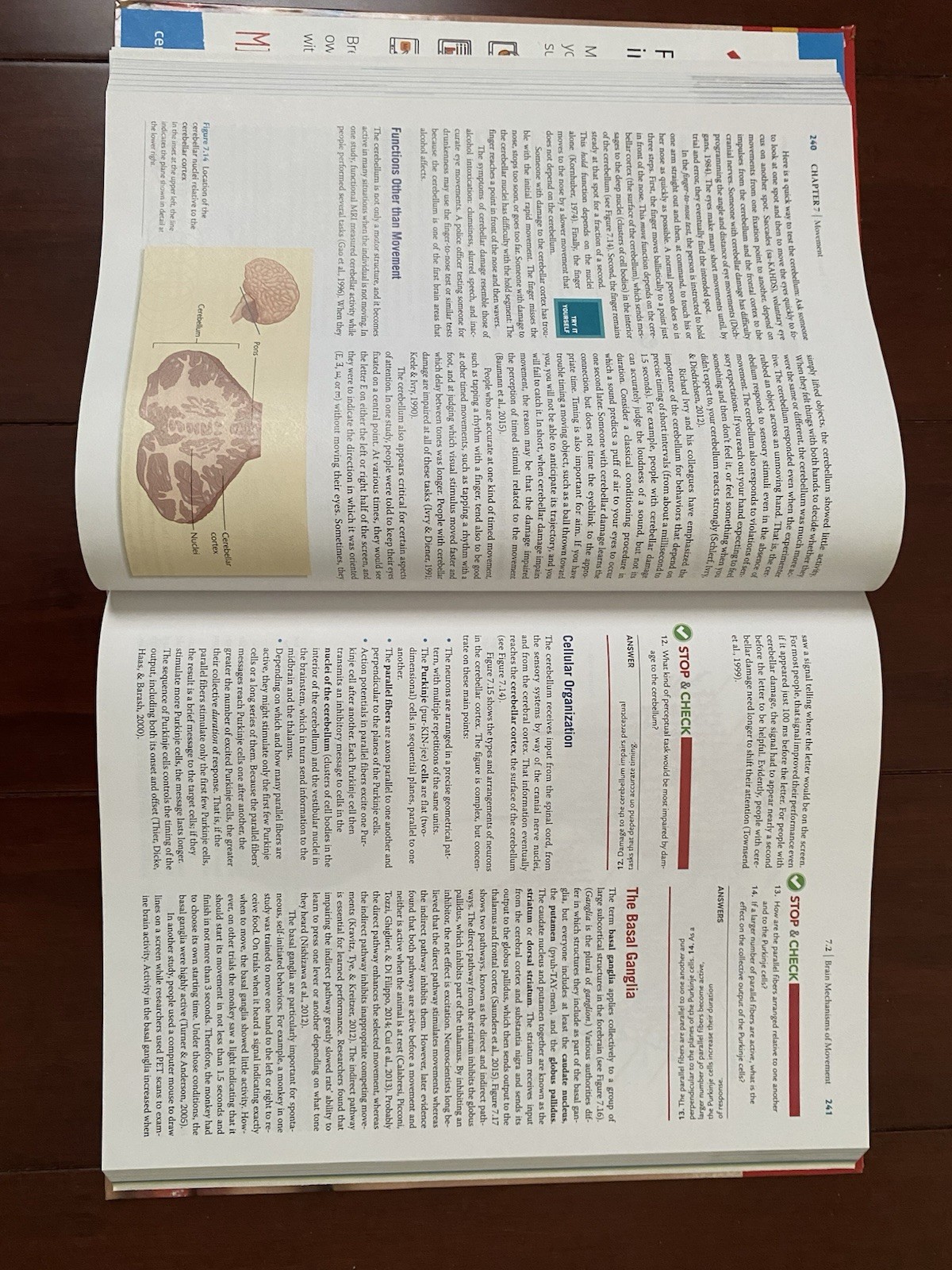 Biological Psychology