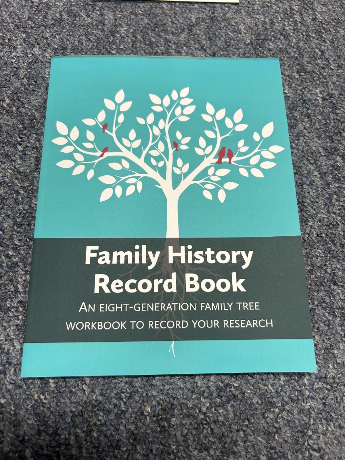 Family History Record Book: An 8-generation family tree workbook (NEW) Free P+P