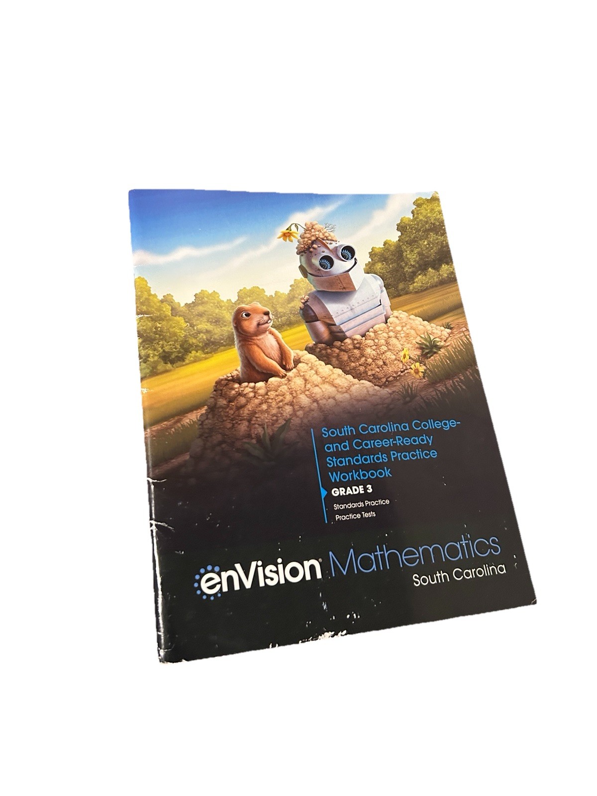 Envision Mathematics 2020 Additional Practice Workbook Grade 3