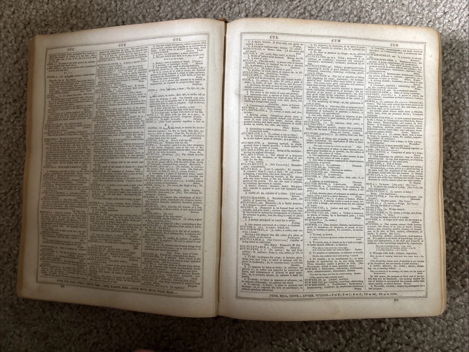 Vtg American Dictionary English Language Webster’s Dictionary, Noah Webster 1856