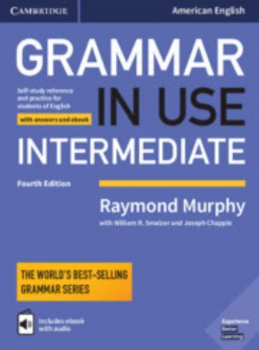 Grammar in Use Intermediate : Self-Study Reference and Practice for Students …