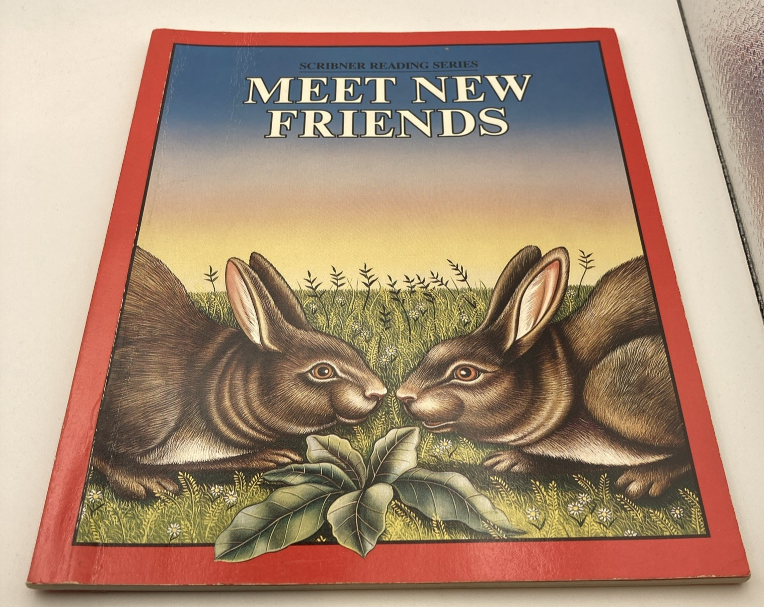 Meet New Friends Scribner Reading Series Cassidy Roettger Wixson PB Early Reader