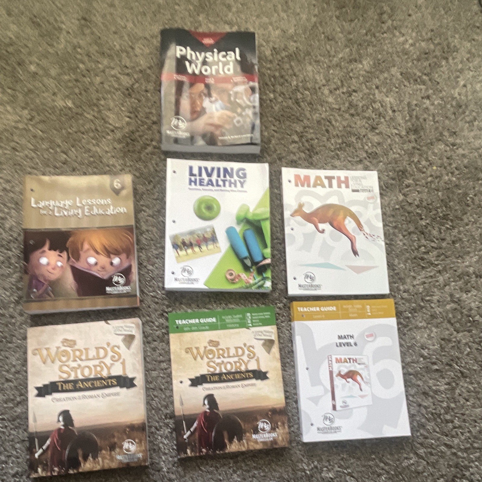 Master books 6th Grade Lot (Read)