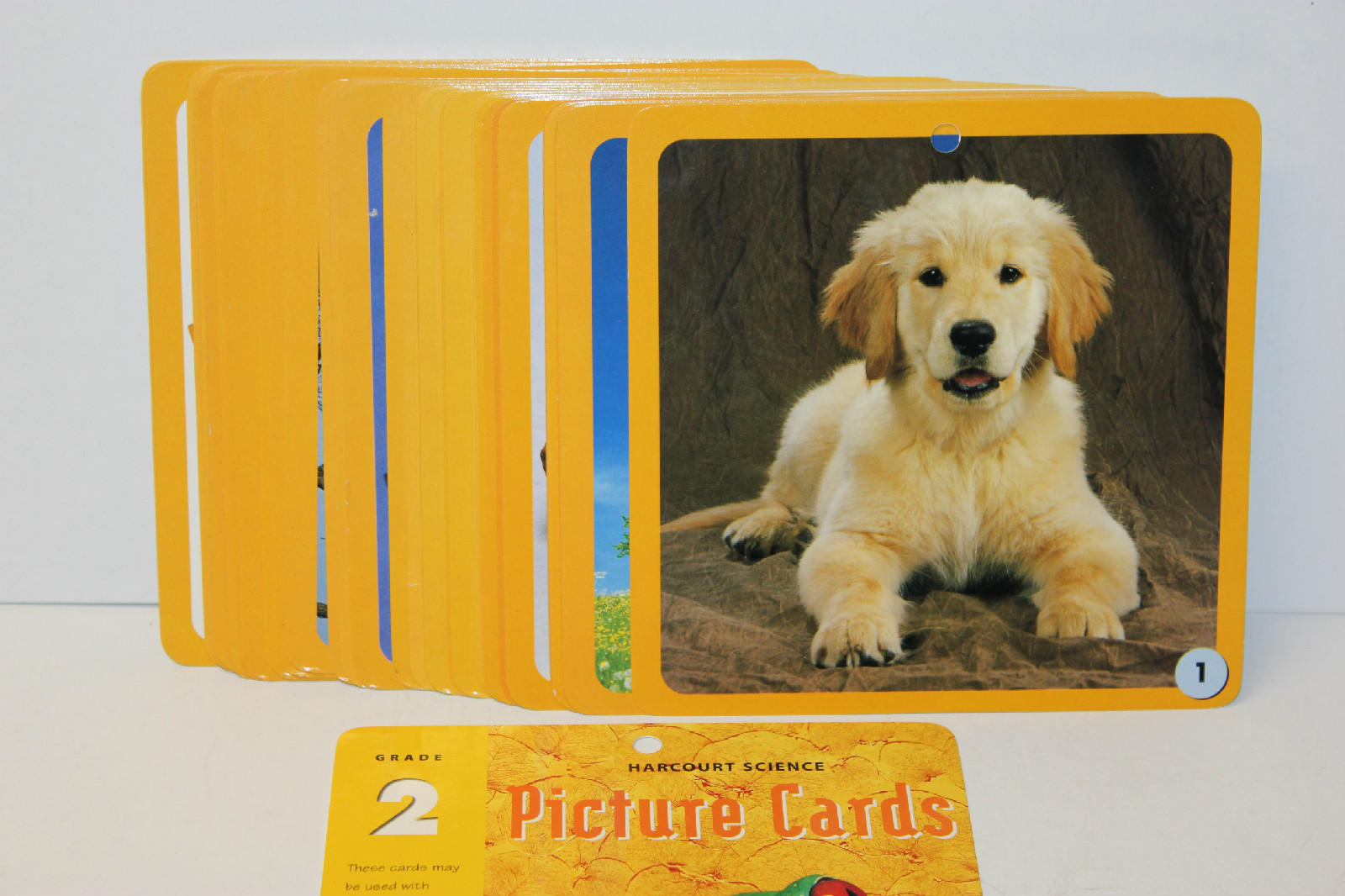 HARCOURT SCIENCE PICTURE FLASH CARDS GRADE 2 – Set of 52