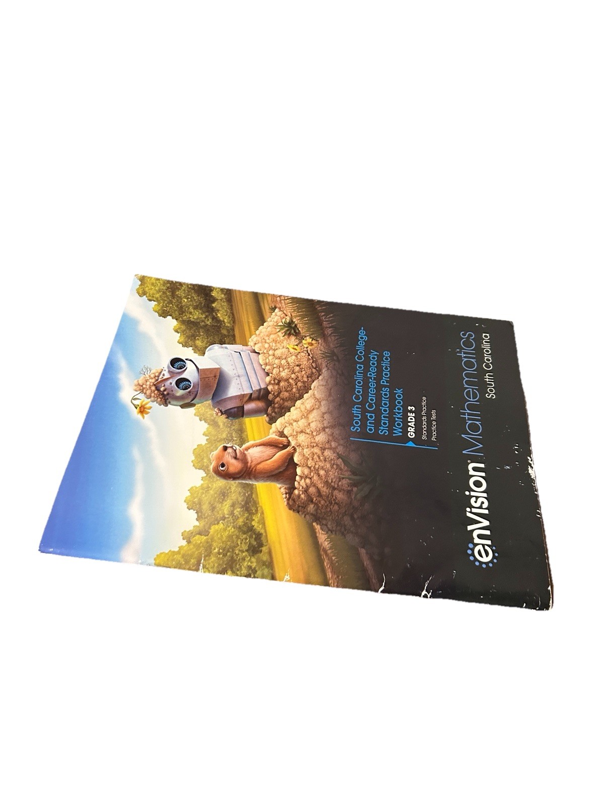 Envision Mathematics 2020 Additional Practice Workbook Grade 3