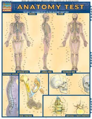 Anatomy Test (Quick Study Guides-Academic) – Pamphlet By BarCharts, Inc – GOOD