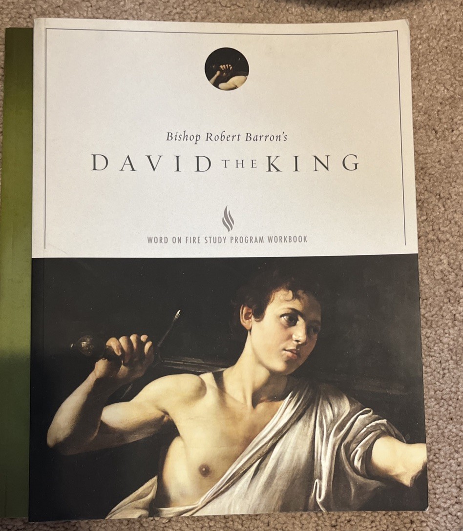 David the King – Study Guide by Jacob Wood (2017, Trade Paperback)