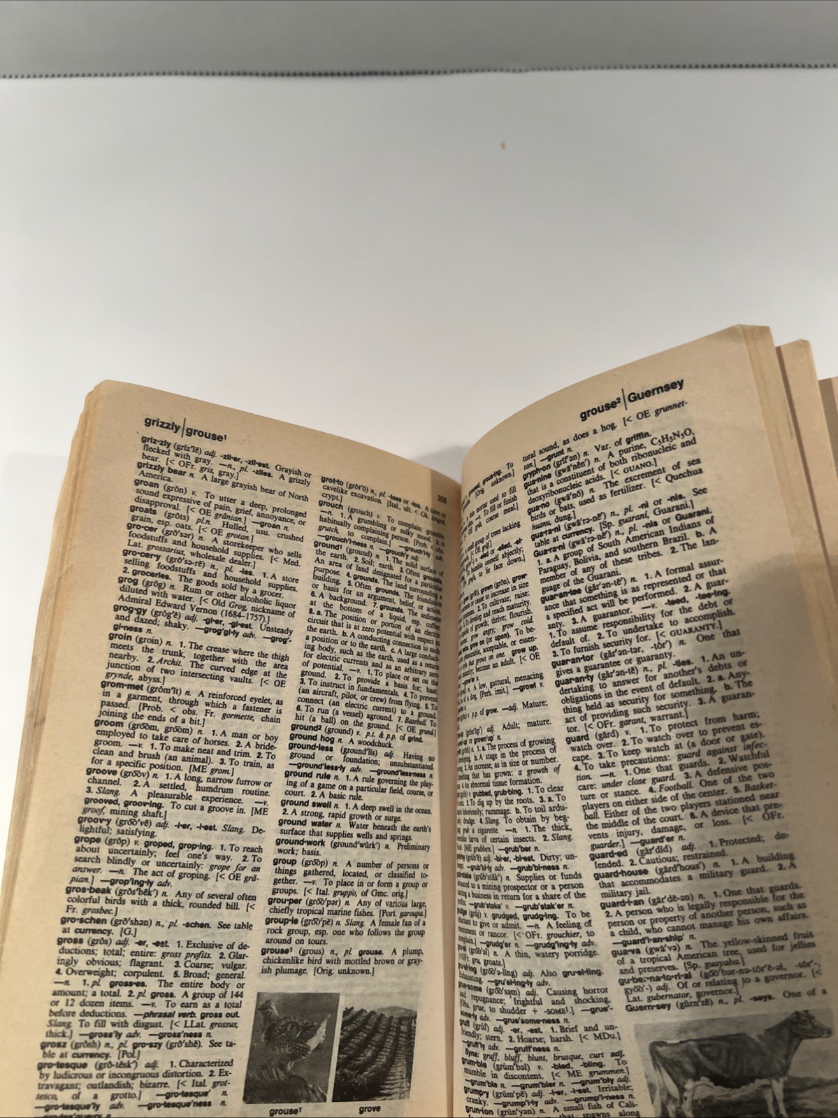 The American Heritage Dictionary Second College Edition