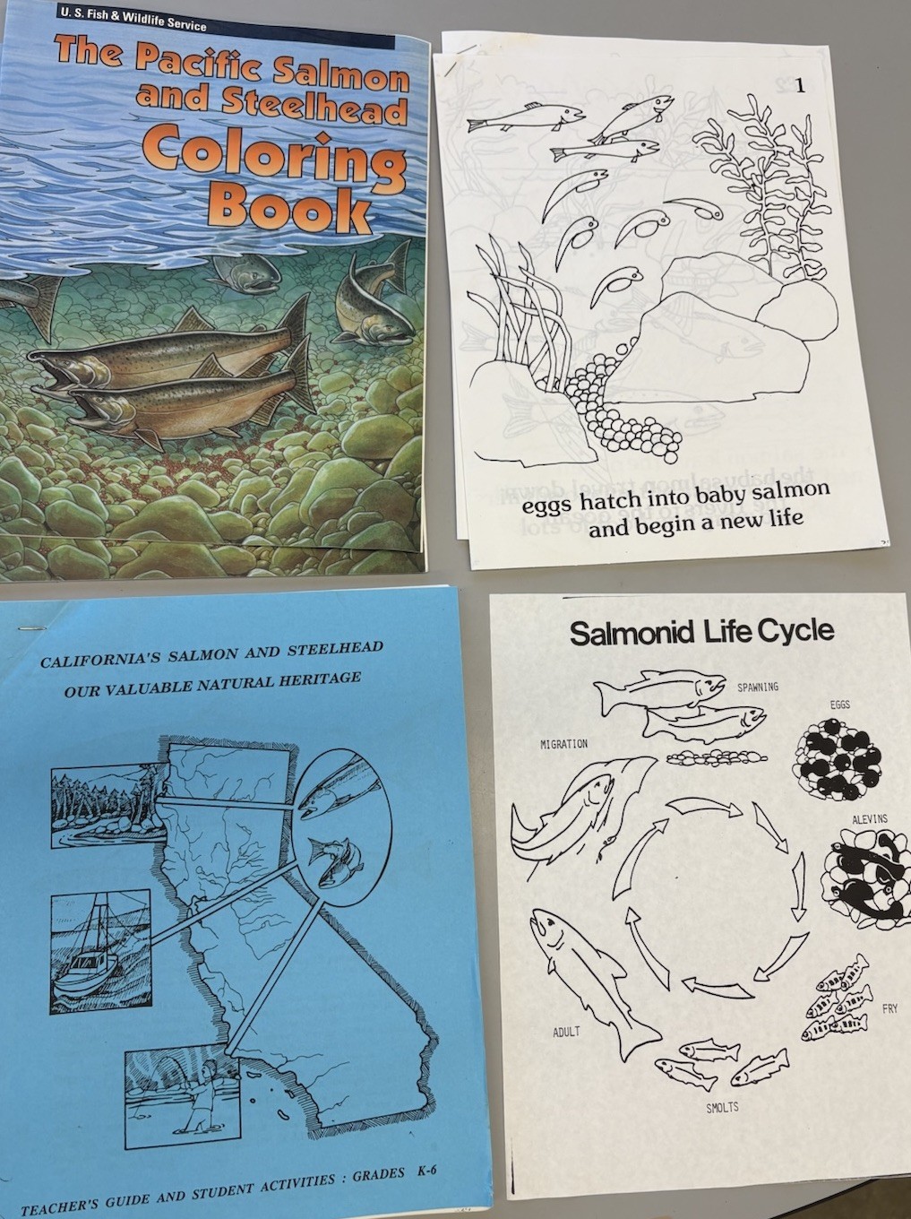 Box of many Ag In The Classroom & Food, Water, Gardens, Insects, & Birds lesson