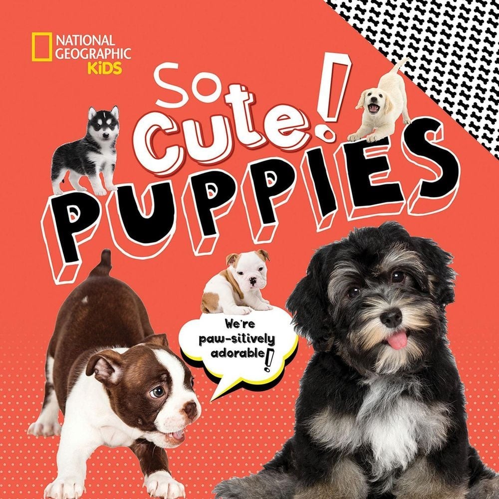 So Cute! Puppies by National Geographic Kids (English) Hardcover Book
