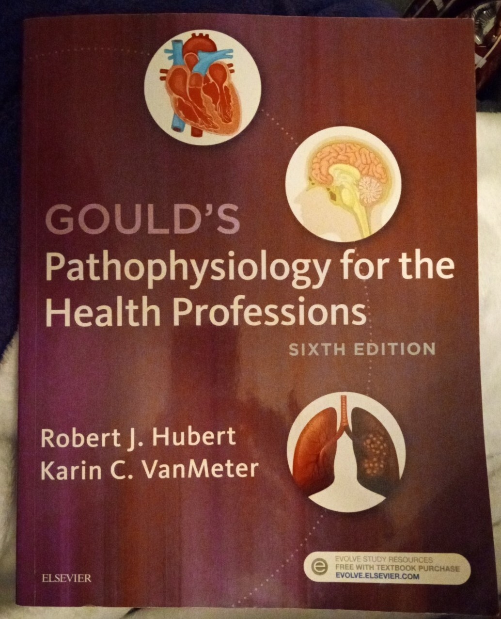 Gould’s Pathophysiology for the Health Professions by Robert J. Hubert (2017,…