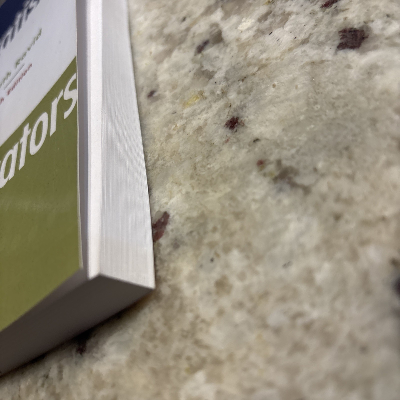 Practical Statistics for Educators by Ruth Ravid