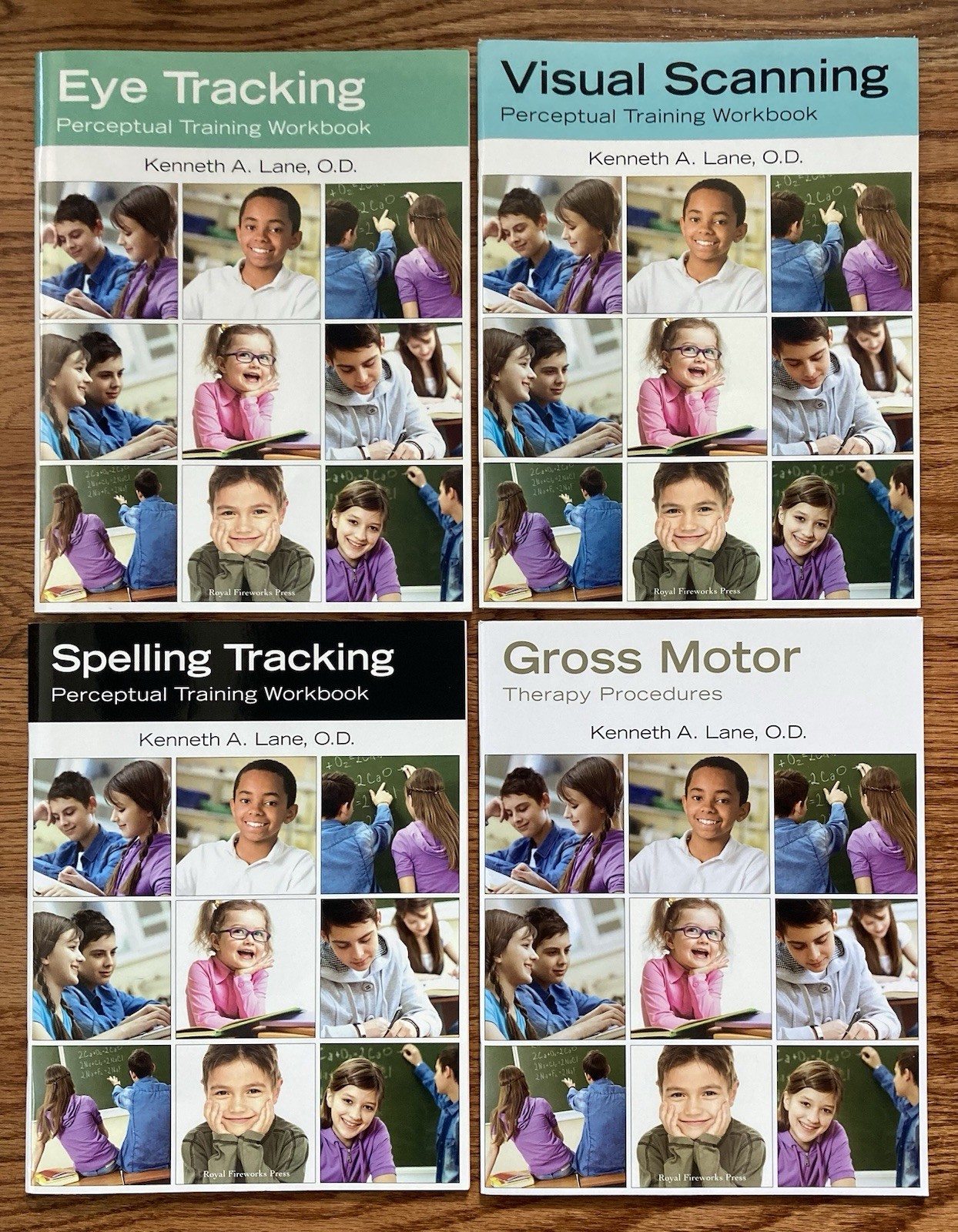 Royal Fireworks Press Perceptual Training Workbooks and Therapy Procedures Book