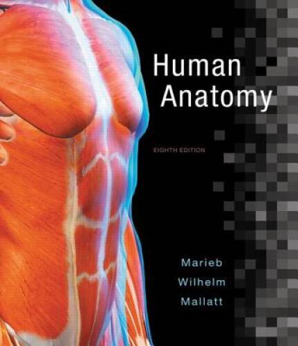 Human Anatomy (8th Edition) – Hardcover By Marieb, Elaine N – GOOD