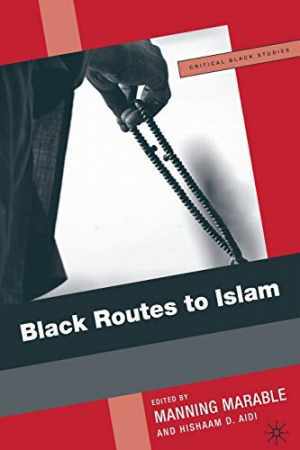 Black Routes to Islam (Critical Black – Paperback, by Marable M. Aidi – Good